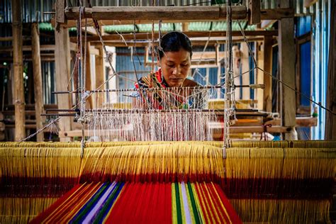 Weaving Dreams: Stories from India's Handloom Heritage - A Tapestry of Cultural History and Artistic Expression!