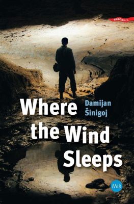 Where the Wind Sleeps A Whimsical Tale of Self-Discovery and Unexpected Friendship